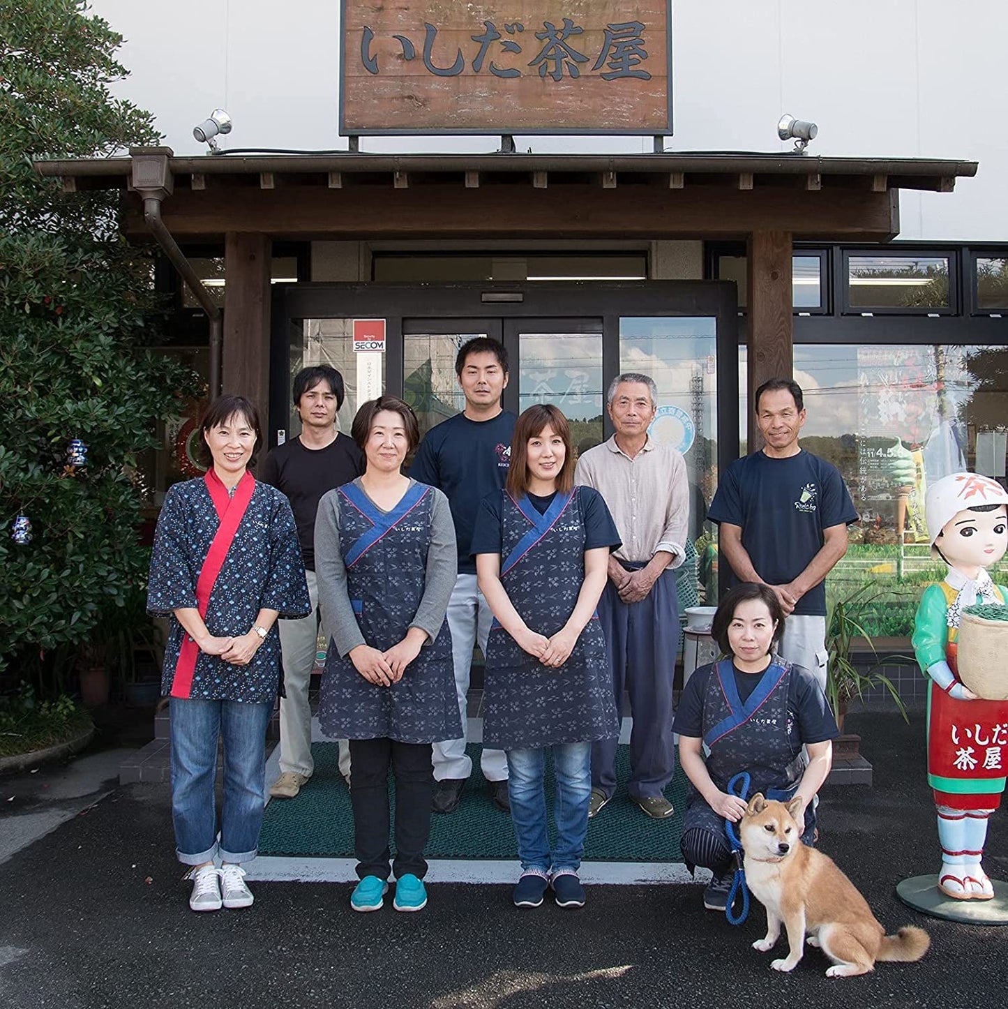 濃旨緑茶ティーバッグ 1袋5×️25個入×3袋 お茶 水出し 日本茶 緑茶 静岡 冷茶 ティーパック