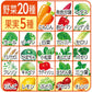 伊藤園 充実野菜緑黄色ミックス 930ml 12本入×2ケース