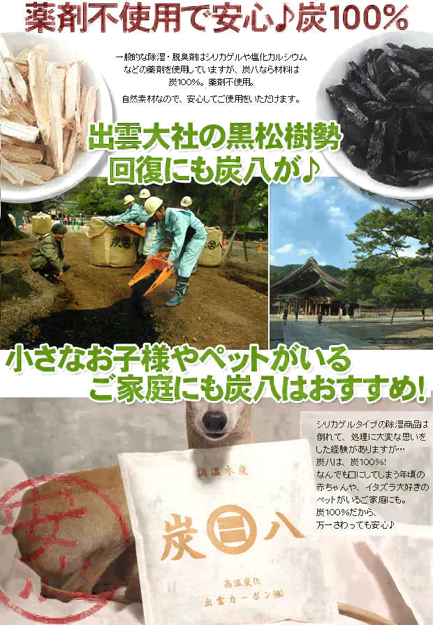 【超得ハイパーSALE】調湿木炭 炭八 スマート小袋 2個入