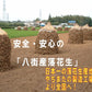 450g 素煎（ナカテユタカ）千葉県八街産落花生