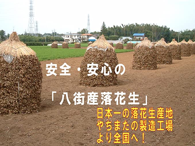 小粒バターピー（千葉半立）50g5個セット 千葉県産落花生