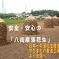 味付（千葉半立）200g 千葉県八街産落花生