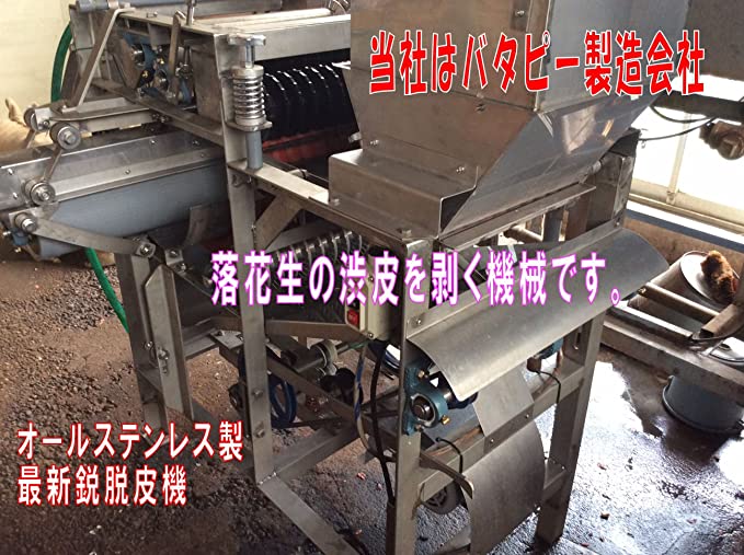 ジーマミ豆腐用 未調理渋皮なし なま落花生500g(クール代込) 千葉県八街産落花生