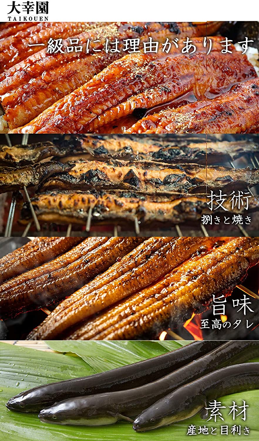 大幸園 王将鰻 国産 うなぎ蒲焼き
約140ｇ×２尾 鹿児島県大隅産