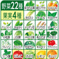 伊藤園 充実野菜緑の野菜ミックス 930ml 12本入×2ケース