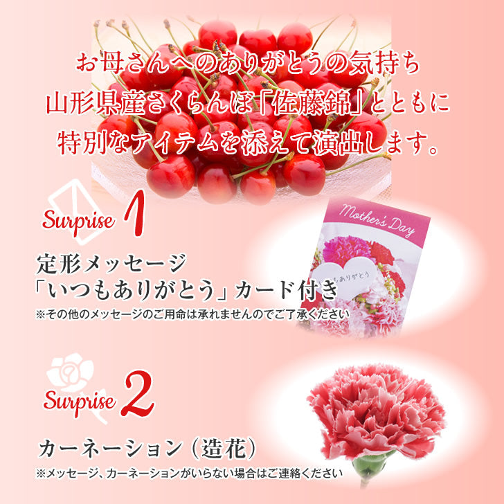 母の日 ギフト 山形県産さくらんぼ佐藤錦 L玉 ダイヤパック100g×2 送料無料※一部地域別途送料 mc09【母の日SALE】