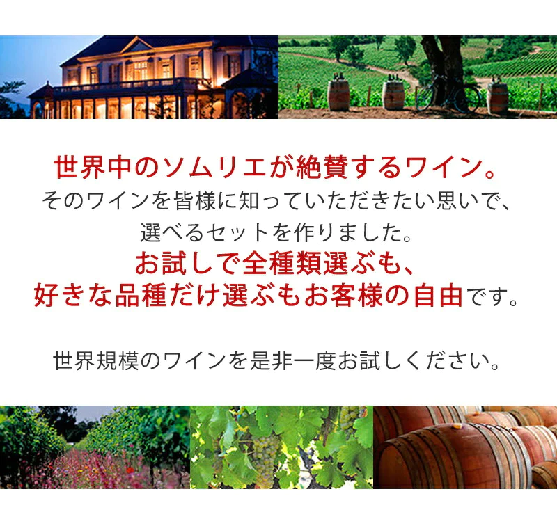 ワイン ワインセット  【送料無料】よりどり選べる コノスル ヴァラエタル シリーズ 12本  ワインセット【北海道・東北・九州・四国・沖縄県は必ず送料が掛かります】