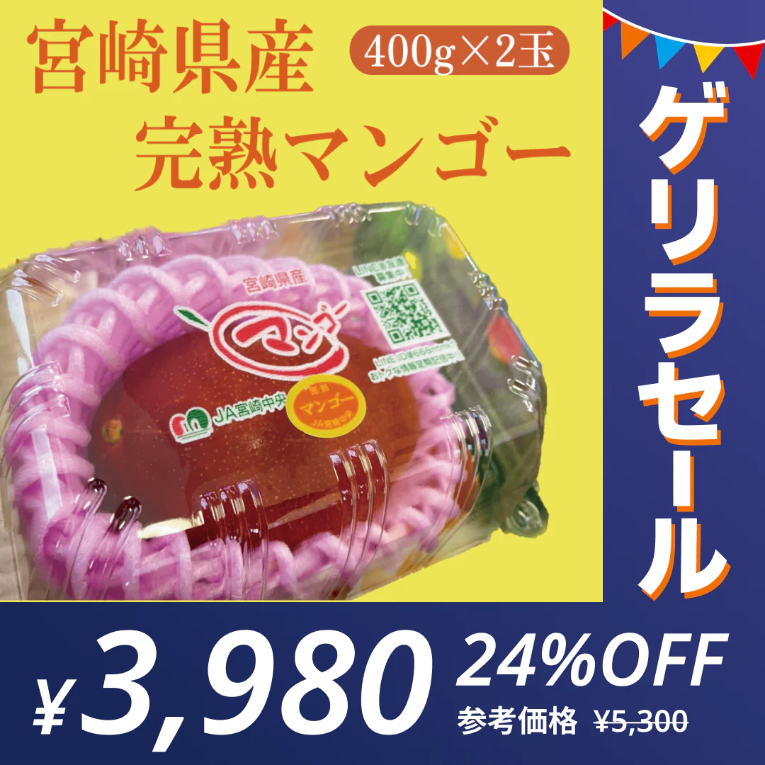 宮崎県産マンゴー 800g (400g×2個入)【秀品】【ゲリラセール】