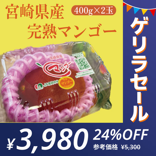 宮崎県産マンゴー 800g (400g×2個入)【秀品】【ゲリラセール】