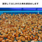 つぶれ梅（はちみつ入）1000ｇ(500ｇ×2袋)【ゲリラセール】