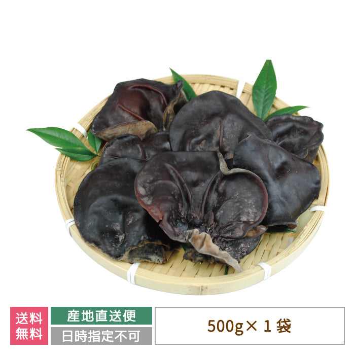 生きくらげ 1箱(500g×1袋入り)『きわみ』常温便 *