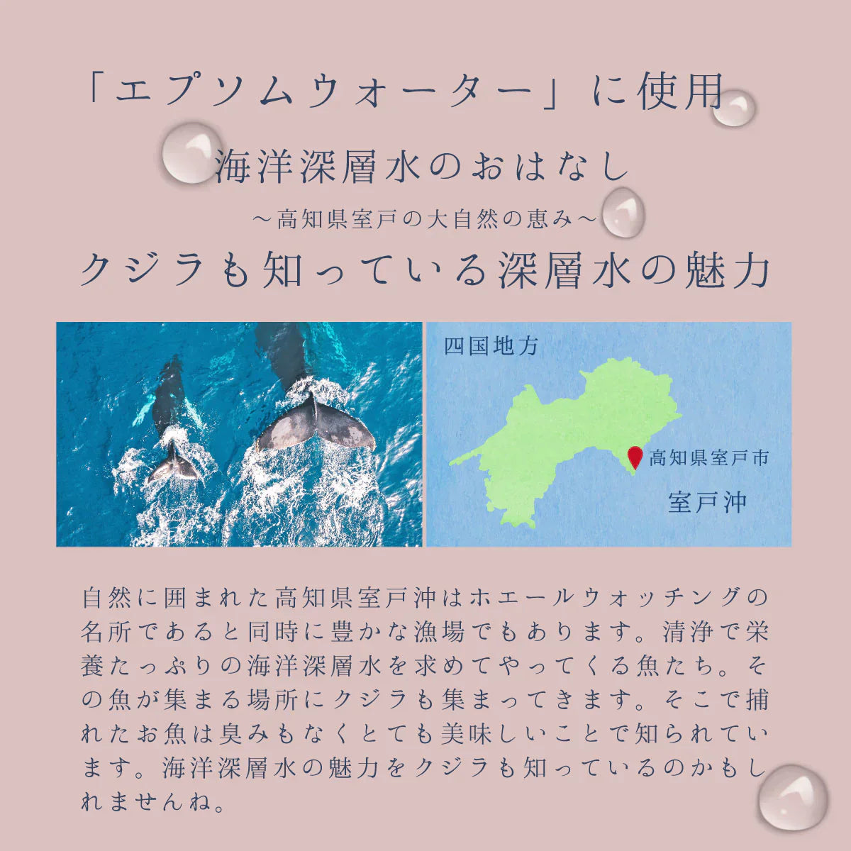 【不使用】美と健康の炭酸水 エプソムウォーター 500ml 24本【ゲリラセール】