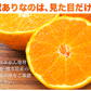 訳あり デコみかん 4.5kg 送料無料 不知火 みかん ミカン 熊本県産 訳あり デコポン と同品種 熊本 柑橘 目玉商品 くまもと風土《3月末頃～4月中旬頃より発送予定》【エコ得リリースSALE】