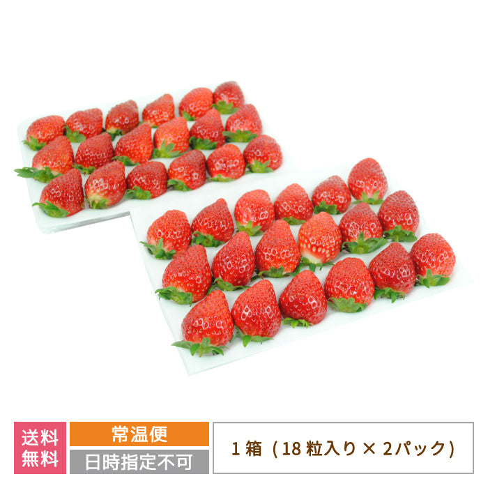 福島県産 いちご「甘園房～あまえんぼう」DX－03 1箱 2L  (18粒入り×2パック)通常便*