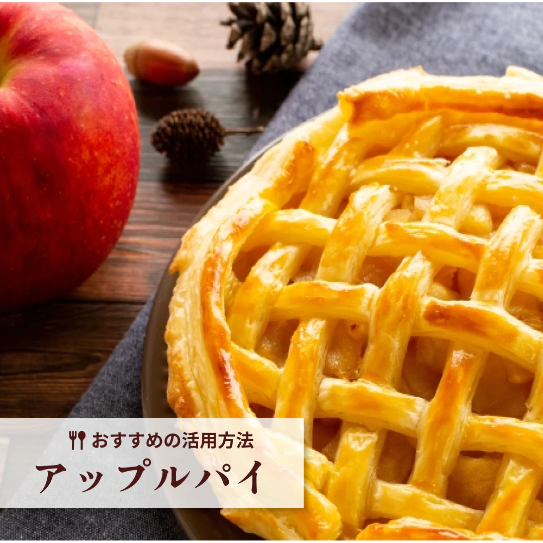 訳ありレスキューりんご 約3kg 長野県産 家庭用  品種混合 果物 フルーツ【順次出荷】【ゲリラセール】