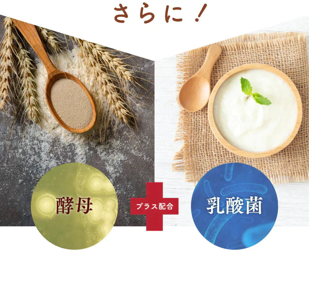 コンブチャ（KOMBUCHA）《1ヶ月分》 酵素 乳酸菌 美容成分 紅茶キノコ 酵母 ビタミンD 葉酸 ビタミンC ビタミンB  大豆ペプチド【ゲリラセール】