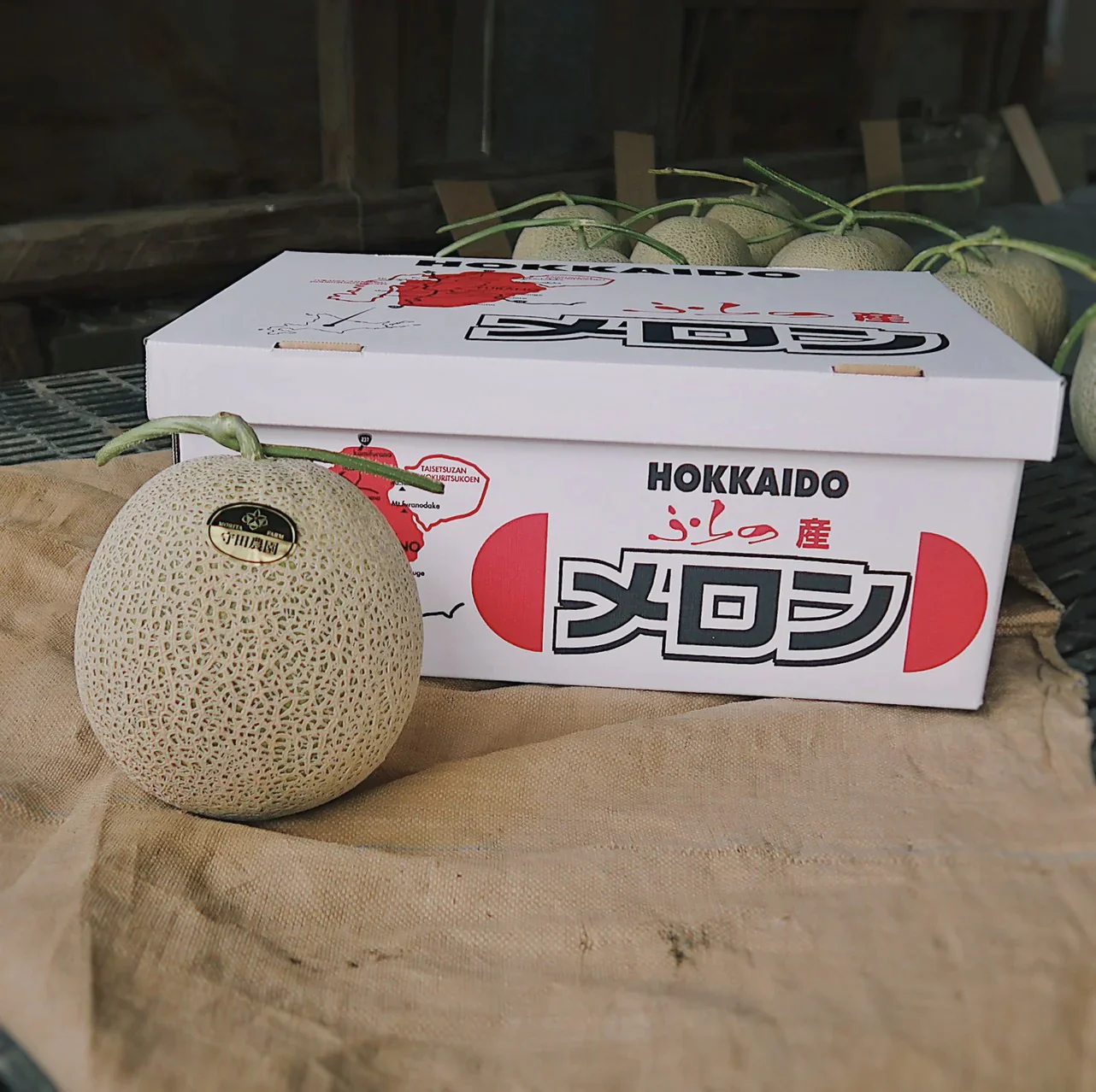 【訳あり】富良野産赤肉メロン(8kg)　大箱(4玉〜7玉)　全国送料無料