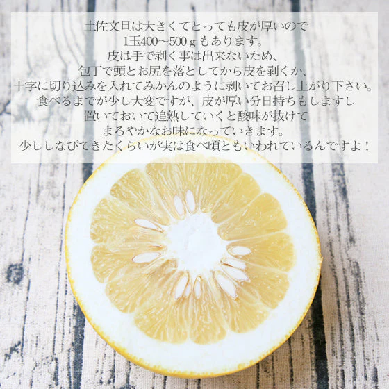 【f文 05】 土佐文旦 5kg 【家庭用・M～3Lサイズ込み・多少の葉傷・黒点が含まれます】 【高知県産】 【送料無料※北海道・沖縄・離島への配送は別途1000円の送料となります。】 みかん 文旦 柑橘 フルーツ ぶんたん【エコ得リリースSALE】