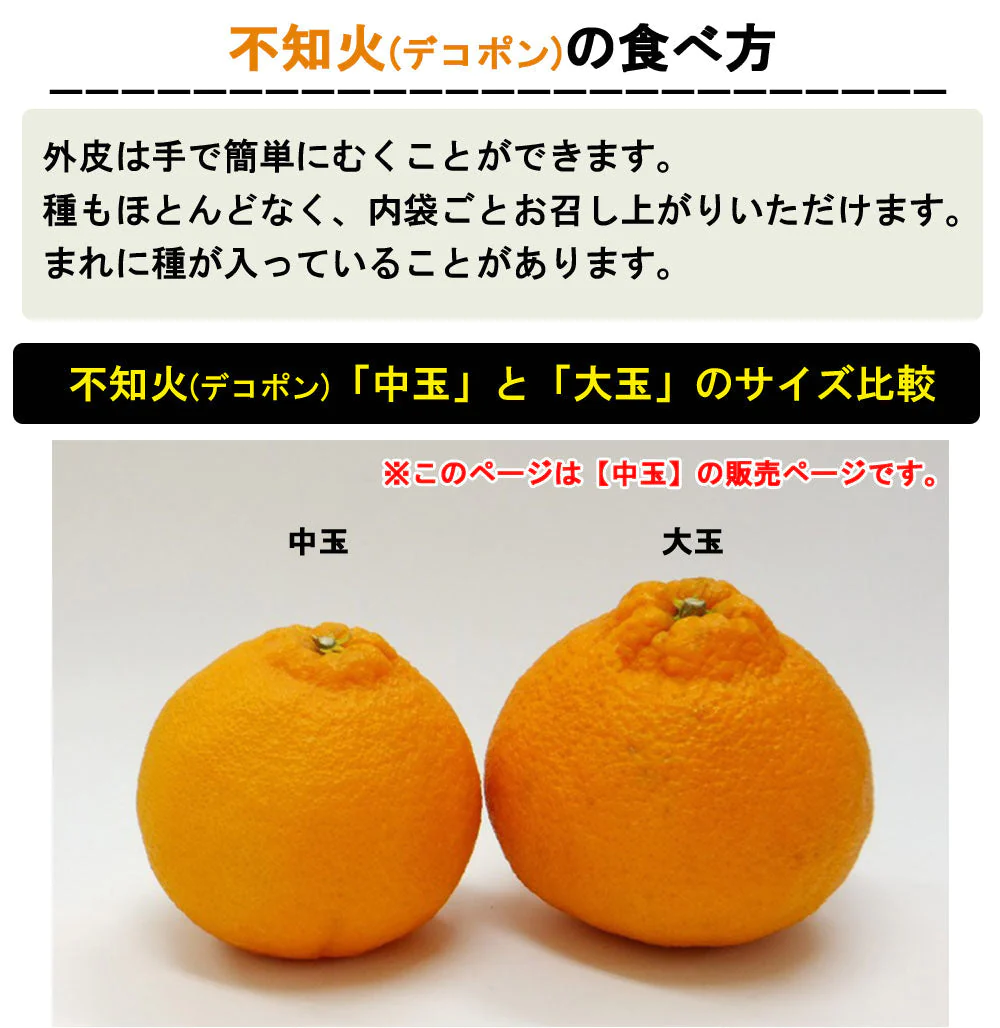 不知火 (デコポン) 5kg 中玉 送料無料 ご家庭用 箱買い みかん 柑橘 フルーツ 果物 産地直送 愛媛県産 YDF-010