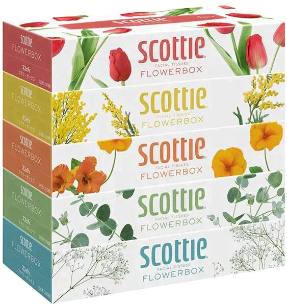スコッティ (SCOTTIE) ティッシュペーパー フラワーボックス 320枚(160組)5箱×12パック(60箱)