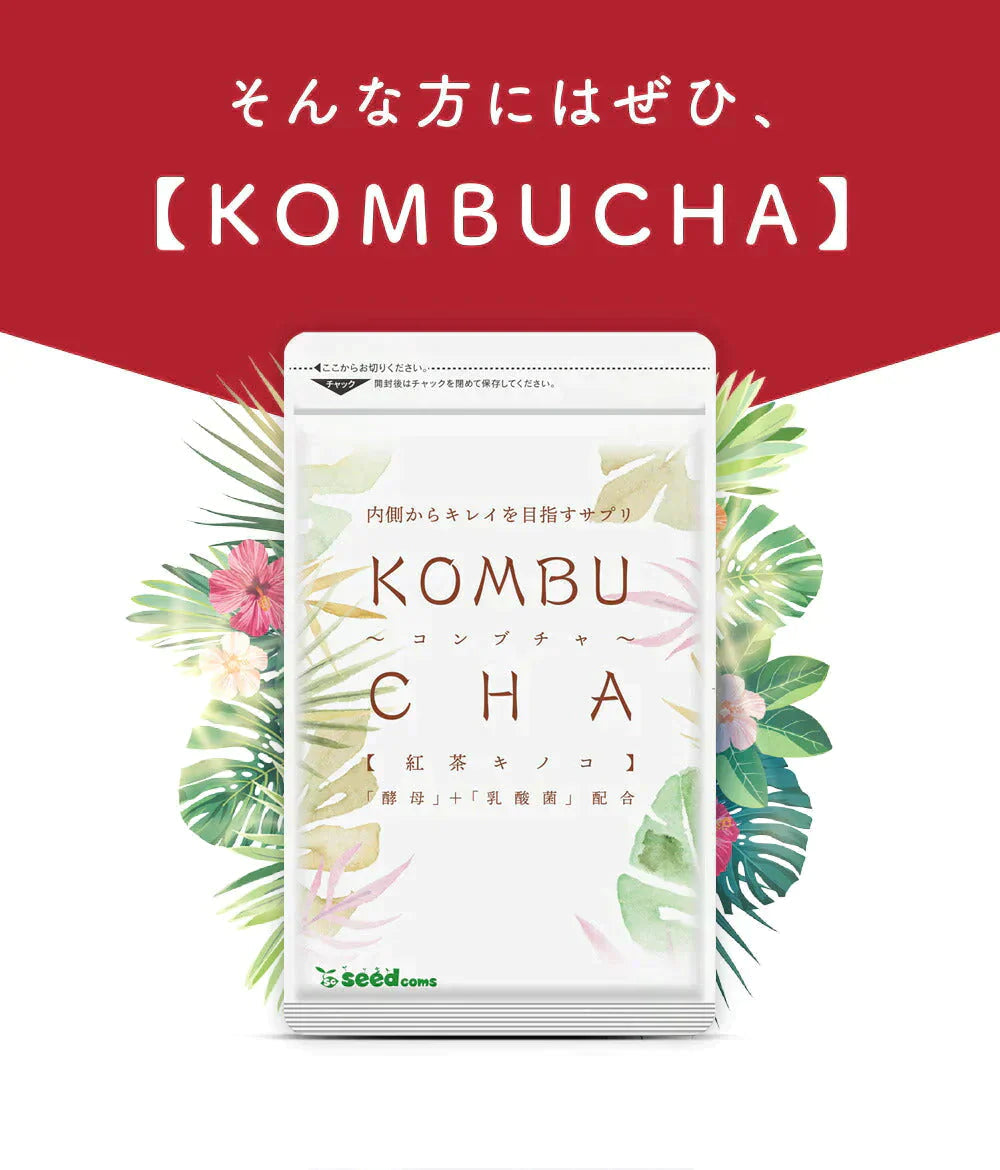 コンブチャ（KOMBUCHA）《1ヶ月分》 酵素 乳酸菌 美容成分 紅茶キノコ 酵母 ビタミンD 葉酸 ビタミンC ビタミンB  大豆ペプチド【ゲリラセール】