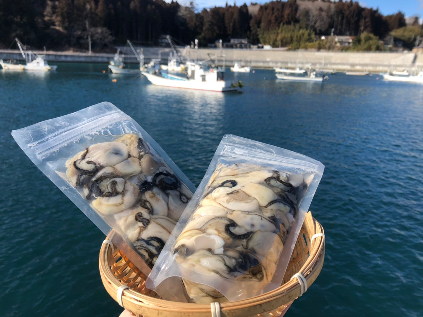 300g×5 注文受け付け後剥きます！南三陸志津川産 牡蠣 生食可 (むき身)