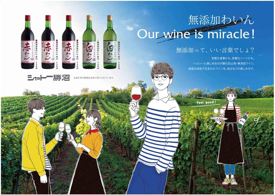 【送料無料】シャトー勝沼 酸化防止剤無添加 赤ワイン 辛口 720ml×12本【北海道･東北･四国･九州･沖縄県は別途送料がかかります】