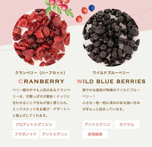 【超得ハイパーSALE】500g 2種のベリー入りミックスナッツ『ラッキーベリーナッツ 』 (250g×2)無塩 ナッツ くるみ カシューナッツ アーモンド クランベリー ワイルドブルーベリー 送料無料