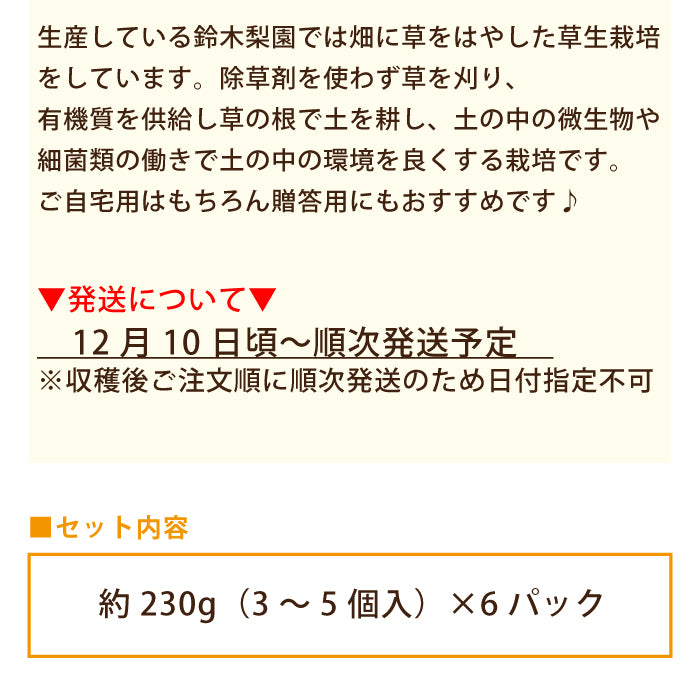 福島県産 あんぽ柿 約230g（3～5個入）×6P