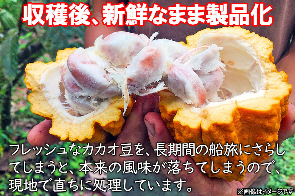 ココアパウダー 60g お試し 約4杯分 ココアミックス (純ココア ピュアココアではありません) インスタント cocoa 送料無料