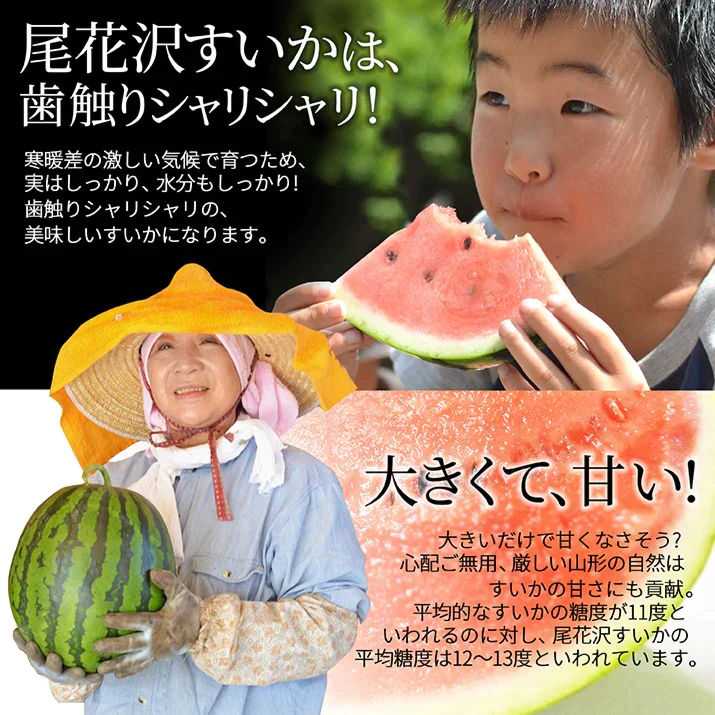 【7月下旬発送】 尾花沢 スイカ 訳あり 1玉 4L 5L（約9kg前後）山形県産 お徳用 ワケあり ワケ待ち 産地直送 キャンプに 海水浴に スイカ割りに ブランド 送料無料 同梱不可 日時指定不可 夏 暑さ対策 食べ物【エコ得】