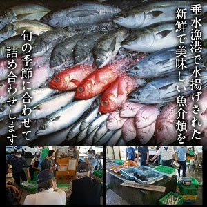 【送料無料】神戸垂水漁港より天然鮮魚を直送!!鮮魚詰め合わせセット 約4～5人前【土曜日発送】【産地直送のため他商品と同梱不可】北海道・沖縄・離島は配送不可