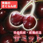【予約販売:６月下旬頃から発送】さくらんぼ サミット 3Lサイズ 800g(バラ詰め)