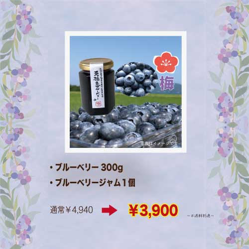 野菜の駅一周年お客様感謝祭　栽培期間中無農薬で育てた天橋立ブルーベリー【梅】
