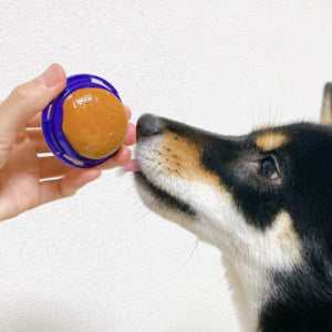 チキン味 PETRO(ペトロ) 犬用おやつ   キャンディ ペロチュー  (小(12g))