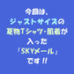 【120cm 女の子 3枚入り】 夏物Tシャツ・肌着 福袋「SKYメール」