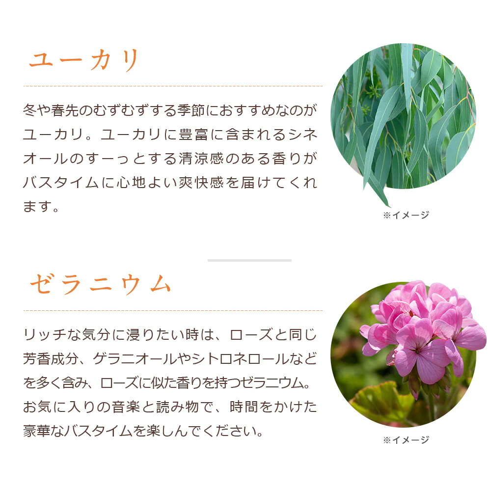 【※選択肢商品】バスソルト 選べる5個セット 各40g 【送料無料】 【 バスグッズ 入浴剤 天然アロマ お風呂 プレゼント バスグッズ アロマバス 】