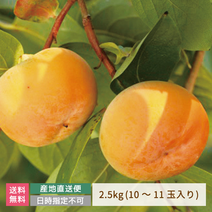 会津みしらず 御山柿 2.5kg  (10～11玉入り)【特産品・ご当地特集】