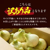 【カウシェうまいもん市場】【送料無料】淡路島玉ねぎ 3キロ［Sサイズ～2Lサイズお任せ］＃訳ありたまねぎ3kg＃