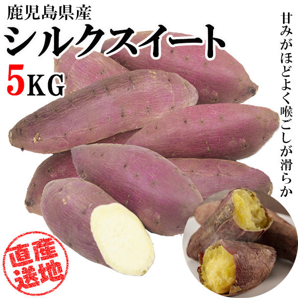シルクスイート さつまいも 5kg 送料無料 産地直送 産直 土付き さつま芋 薩摩芋 焼きいも 焼き芋 石焼き芋 芋 いも イモ 鹿児島県産 ngs-004
