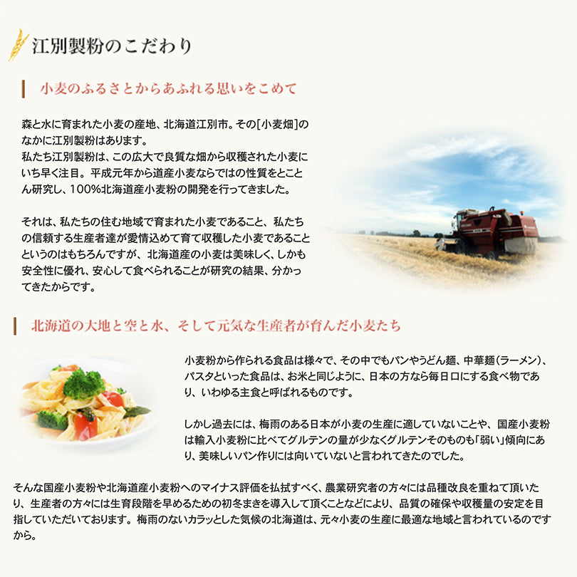 100％HOKKAIDO 菓子用粉 500g 送料無料 メール便 江別製粉 北海道 大人気 お土産 ギフト プレゼント 手作り