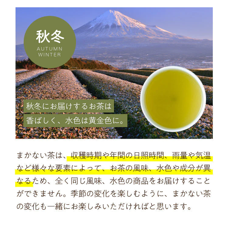 【タイムセール】静岡県産緑茶 ティーライフのまかない茶 100個入