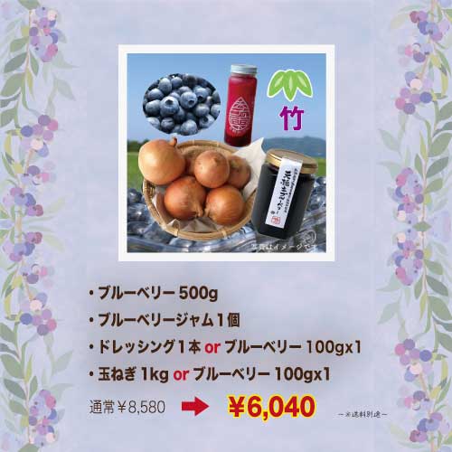 野菜の駅一周年お客様感謝祭　栽培期間中無農薬で育てた天橋立ブルーベリー【竹】