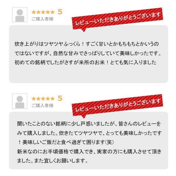 とれたて新米 8kg 新潟県産こしいぶき お米 令和４年産（本州：送料無料