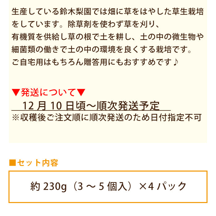 福島県産 あんぽ柿 約230g（3～5個入）×4P