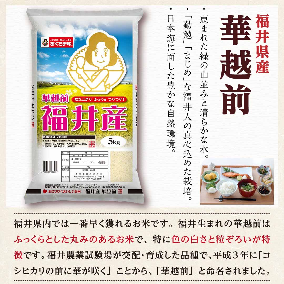 米 精米 福井県産 華越前 ハナエチゼン 20kg (5kg×4) 令和5年産 新米 お米 白米 おくさま印 国産 食品 ギフト 引っ越し 挨拶 出産 内祝い 母の日 父の日 お中元 お歳暮 結婚 快気 還暦 香典返し お年賀 送料無料