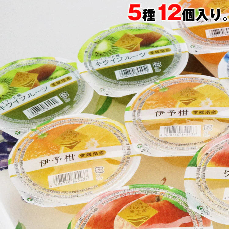 ゼリー 詰合せ まるごと果樹園 フルーツゼリー 詰め合わせ 5種食べ比べ 12個入り 愛媛県産 伊予柑  フルーツ  化粧箱