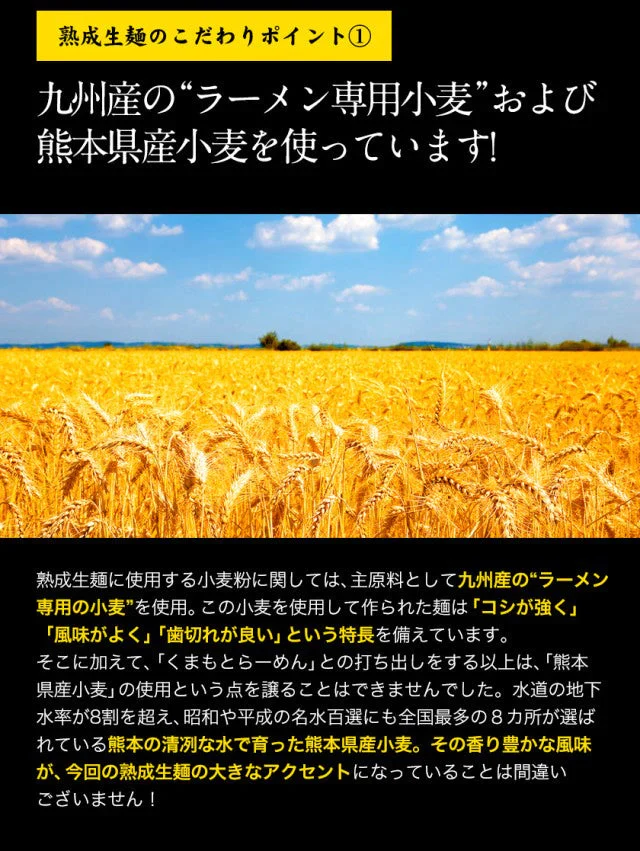 【タイムセール】熊本ラーメン(ramen) 6食セット 生麺 液体スープ 中太麺  豚骨ラーメン《7-14営業日以内に出荷予定(土日祝除く)》【特産品・ご当地特集】