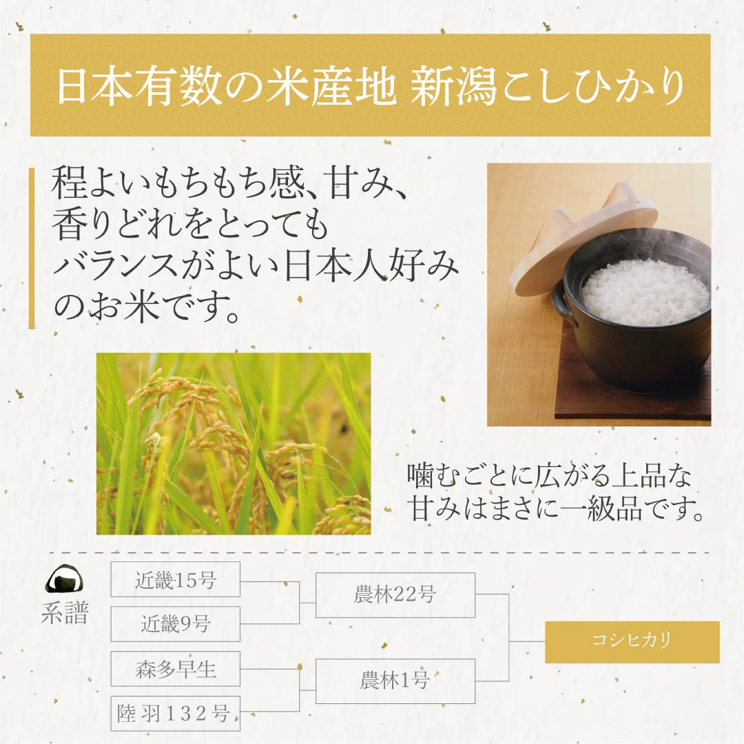 無洗米 米 新潟県産 こしひかり 5kg 令和5年産 新米 お米 白米 おくさま印 国産 食品 ギフト 引っ越し 挨拶 出産 内祝い 母の日 父の日 お中元 お歳暮 結婚 快気 還暦 香典返し 寒中 暑中見舞い お年賀 送料無料