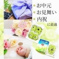 【完売御礼】【超得ハイパーSALE】【9月上旬順次発送】送料無料 岡山産 シャインマスカット 晴王 優品2房 800-900g ぶどう